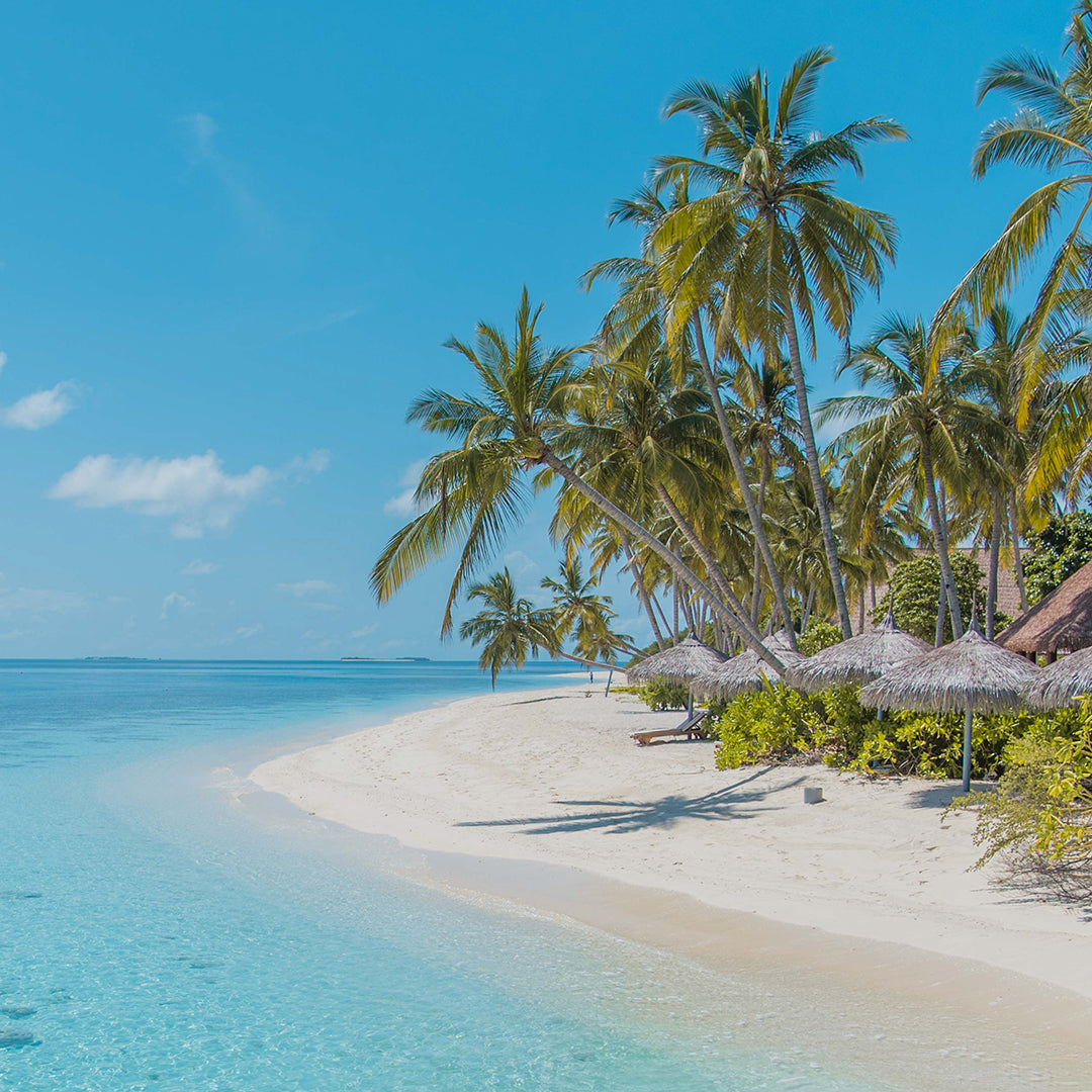 Maldives Villa: Perjalanan ke Pulau Surga